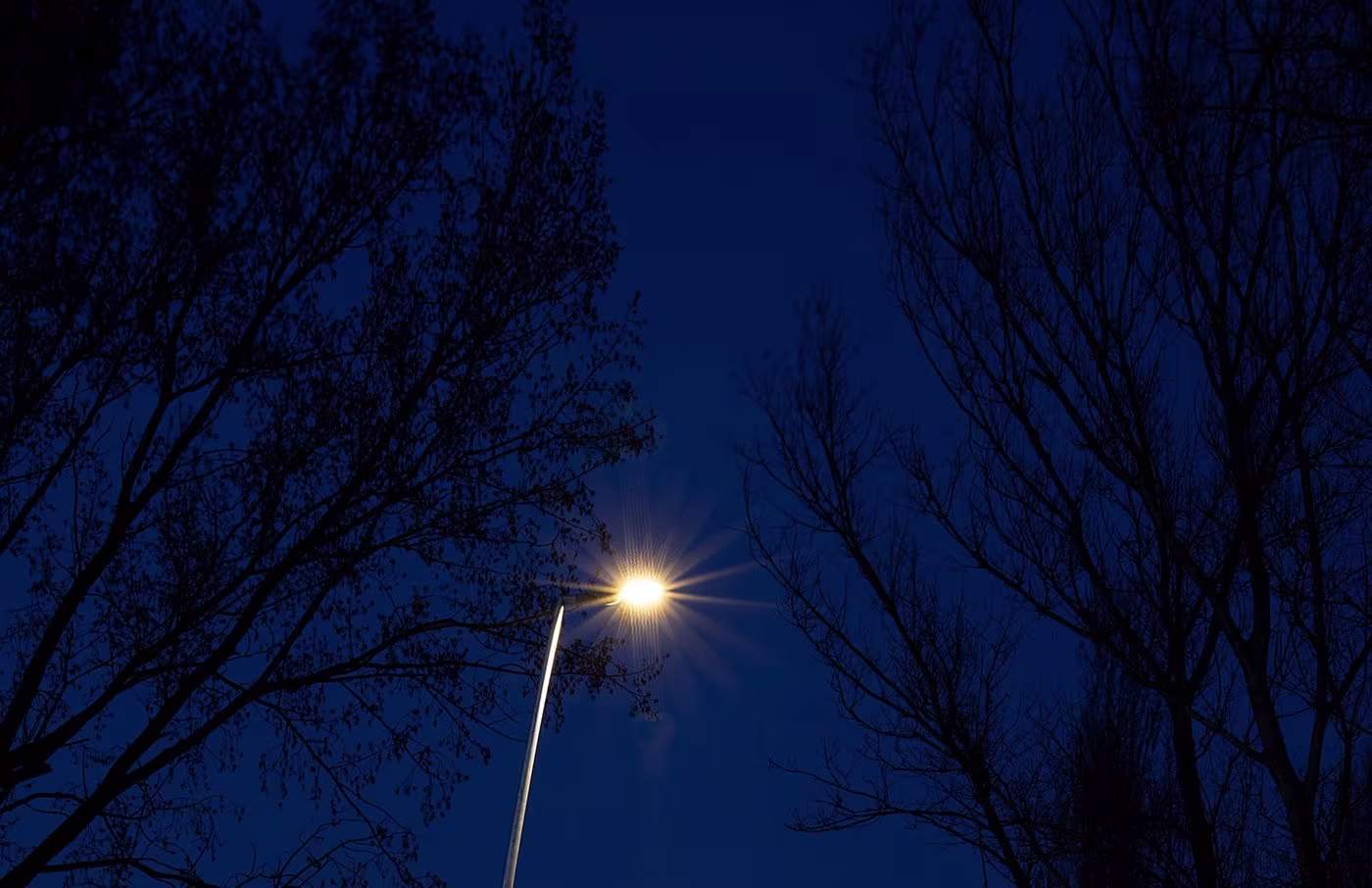 סדרת Fusion - תמונה 2