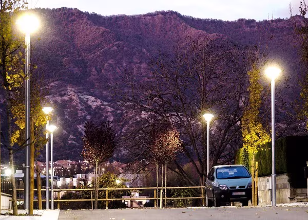 Citizen Clear - תמונה 3