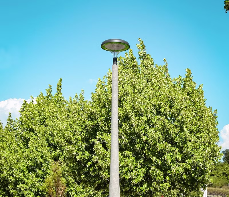 Petrus Light Point - תמונת רקע