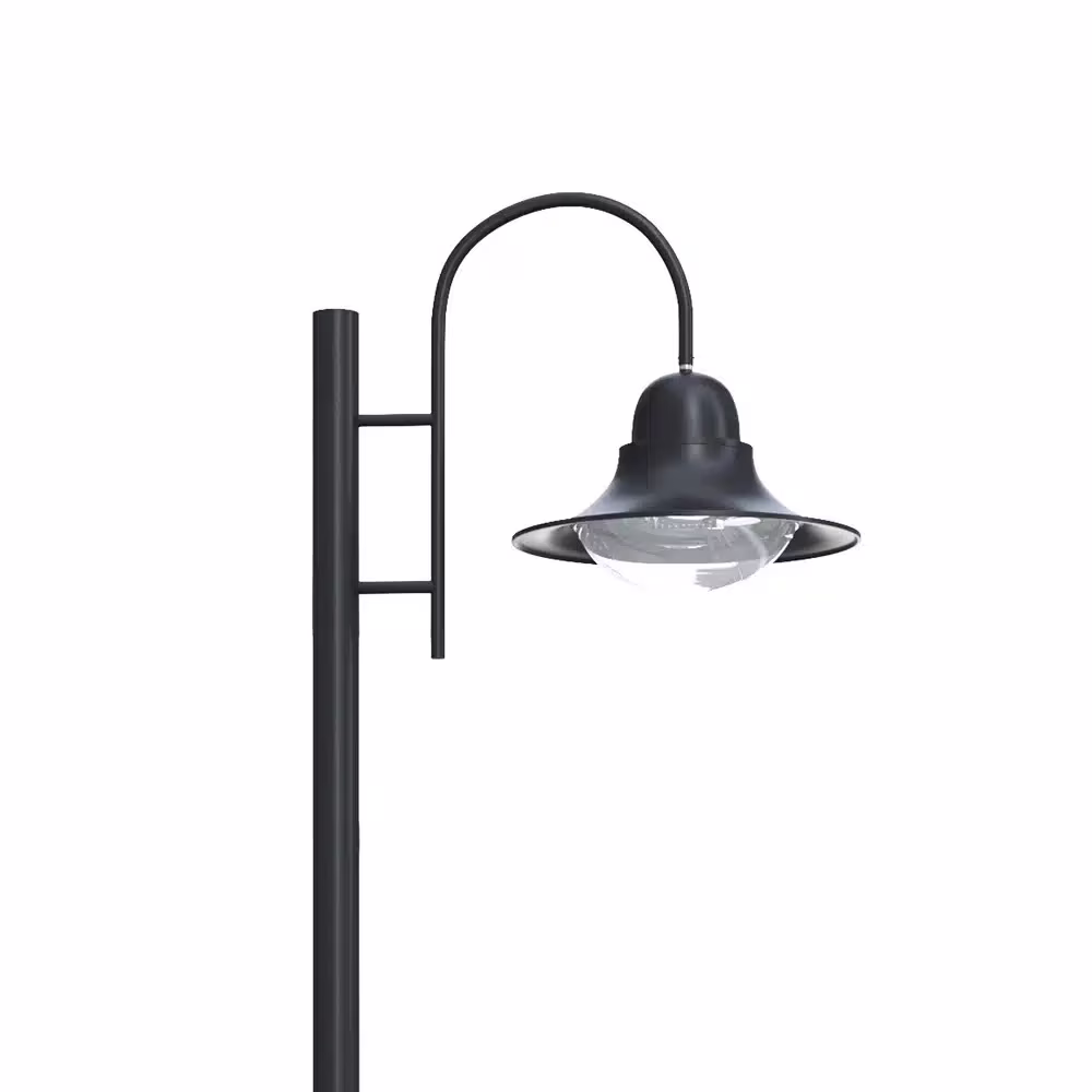ZG-1058 Pendant Luminaires - תמונה 2