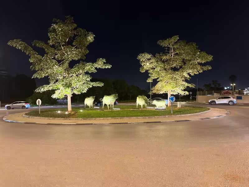 תאורת כיכרות הרצליה -  תמונה ראשית של מוצר תאורה של אלויק תאורה